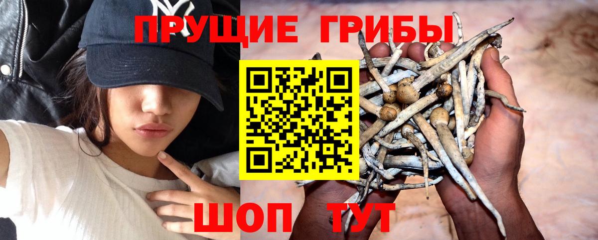 Галлюциногенные грибы мухоморы Кыштым